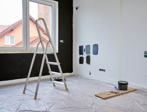 Tenant Finish: How Painting Impacts Rental Property Value